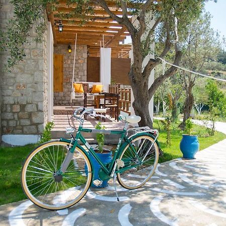 To Stolidi Tis Psinthou Villa Psinthos Exterior photo